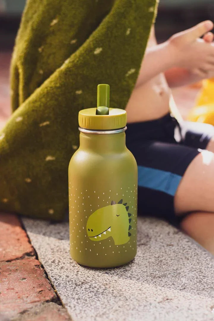 TRIXIE Trinkflasche 350ml - Mr. Dino