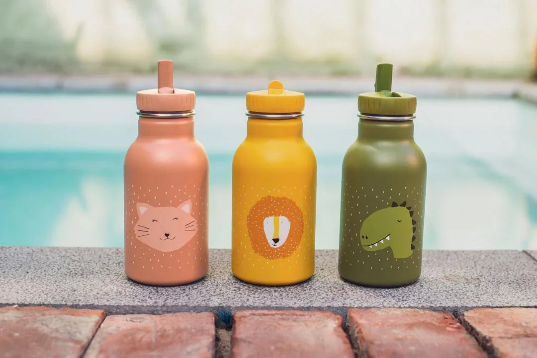 TRIXIE Trinkflasche 350ml - Mr. Dino